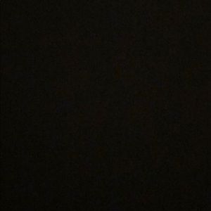 Meet your Posher, Shayna